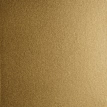 Gilded Brass